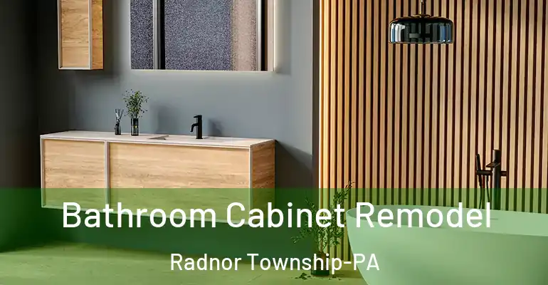 inner Bathroom imggen Bathroom Cabinet Remodel Radnor Township-PA