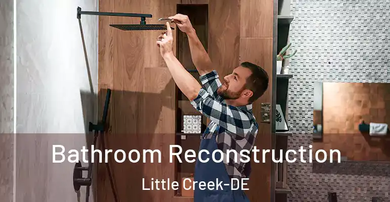 inner Bathroom imggen Bathroom Reconstruction Little Creek-DE