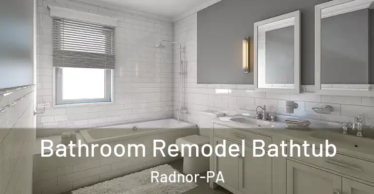 inner Bathroom imggen Bathroom Remodel Bathtub Radnor-PA
