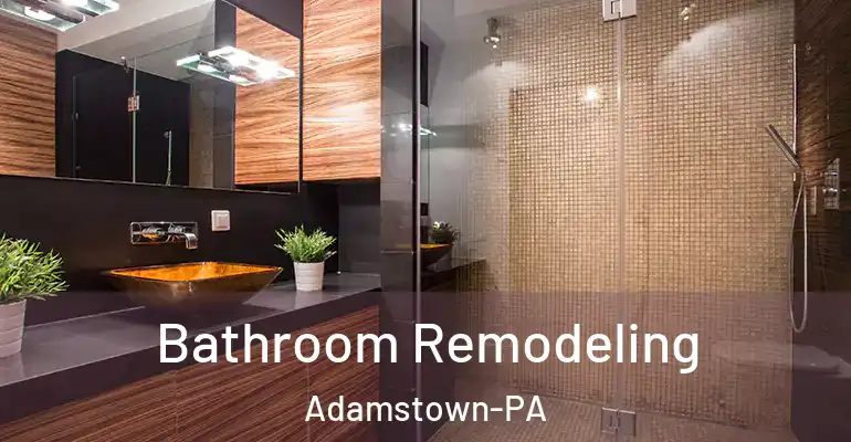 inner Bathroom imggen Bathroom Remodeling Adamstown-PA