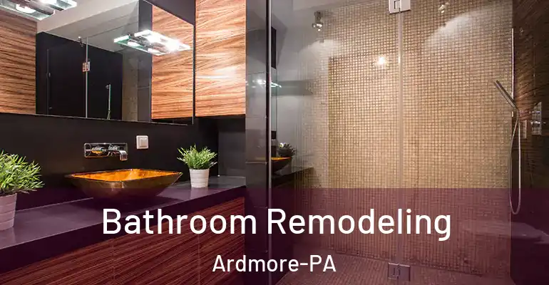 inner Bathroom imggen Bathroom Remodeling Ardmore-PA