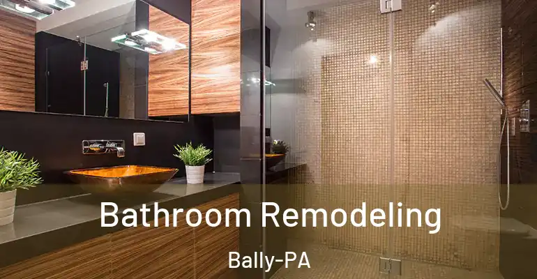 inner Bathroom imggen Bathroom Remodeling Bally-PA
