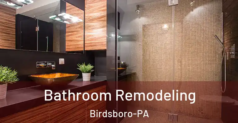 inner Bathroom imggen Bathroom Remodeling Birdsboro-PA