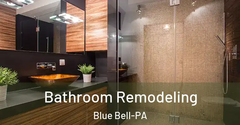 inner Bathroom imggen Bathroom Remodeling Blue Bell-PA