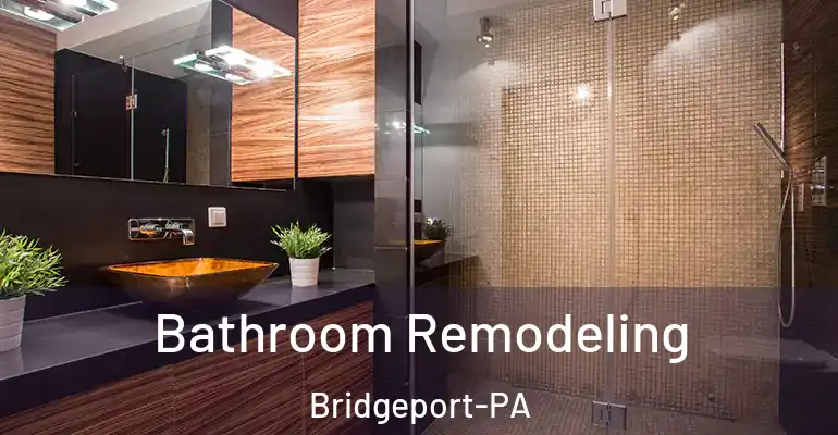 inner Bathroom imggen Bathroom Remodeling Bridgeport-PA
