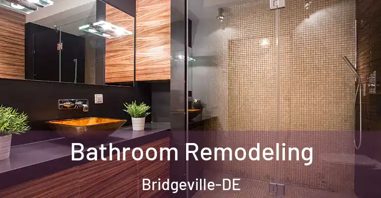 inner Bathroom imggen Bathroom Remodeling Bridgeville-DE