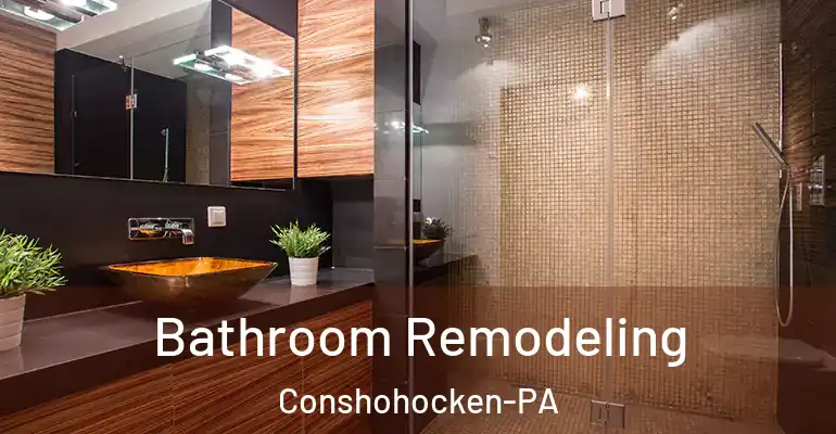 inner Bathroom imggen Bathroom Remodeling Conshohocken-PA