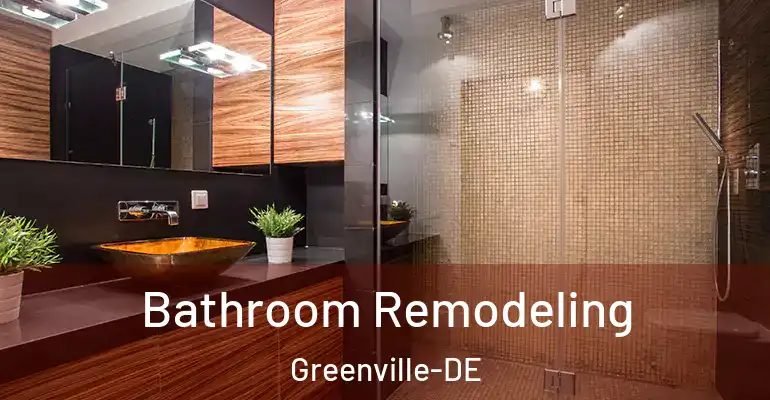 inner Bathroom imggen Bathroom Remodeling Greenville-DE