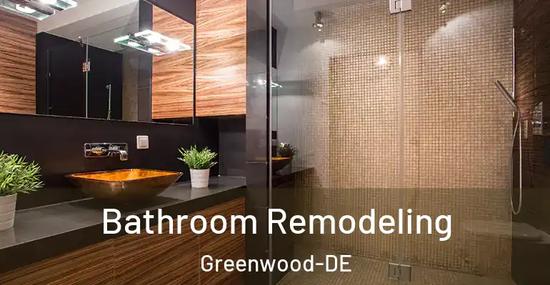 inner Bathroom imggen Bathroom Remodeling Greenwood-DE