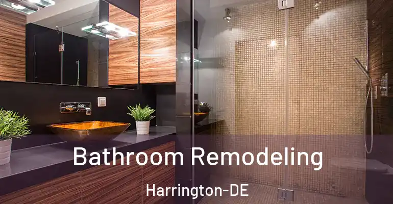 inner Bathroom imggen Bathroom Remodeling Harrington-DE