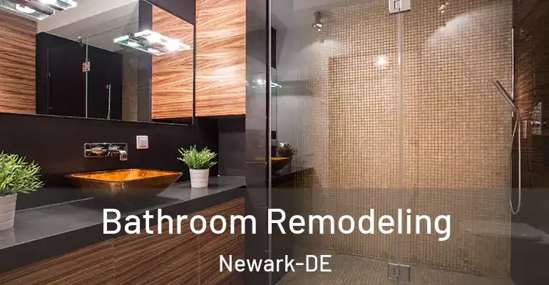 inner Bathroom imggen Bathroom Remodeling Newark-DE