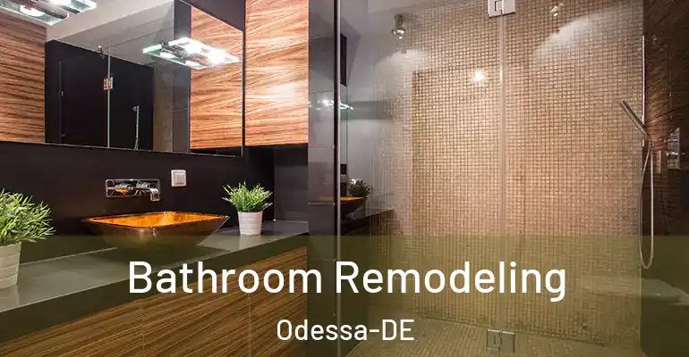 inner Bathroom imggen Bathroom Remodeling Odessa-DE
