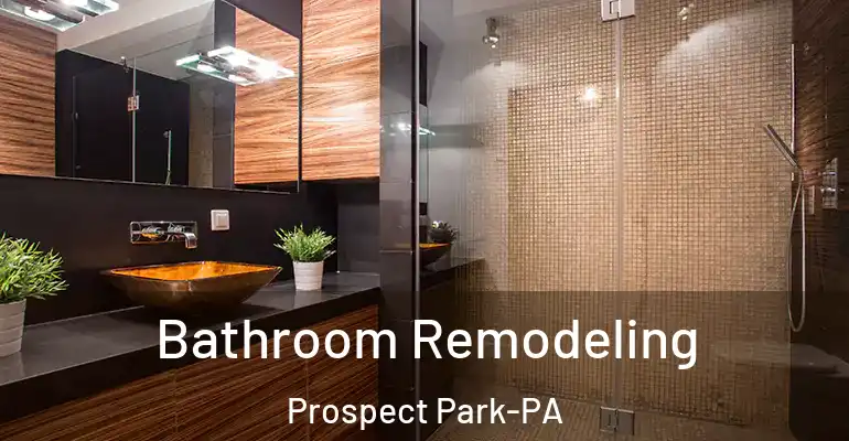 inner Bathroom imggen Bathroom Remodeling Prospect Park-PA