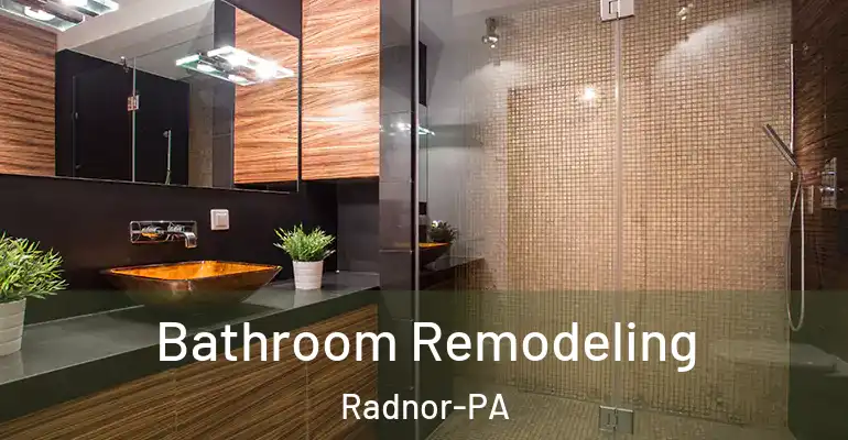 inner Bathroom imggen Bathroom Remodeling Radnor-PA