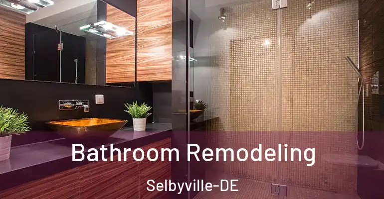 inner Bathroom imggen Bathroom Remodeling Selbyville-DE