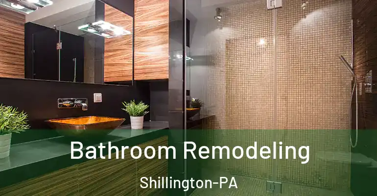 inner Bathroom imggen Bathroom Remodeling Shillington-PA