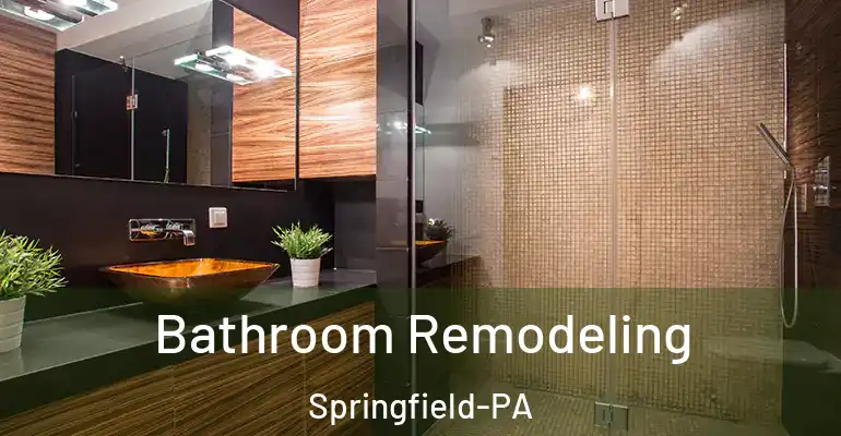 inner Bathroom imggen Bathroom Remodeling Springfield-PA