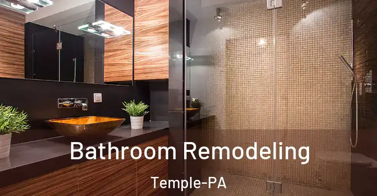 inner Bathroom imggen Bathroom Remodeling Temple-PA