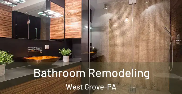 inner Bathroom imggen Bathroom Remodeling West Grove-PA