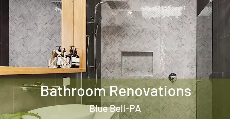 inner Bathroom imggen Bathroom Renovations Blue Bell-PA