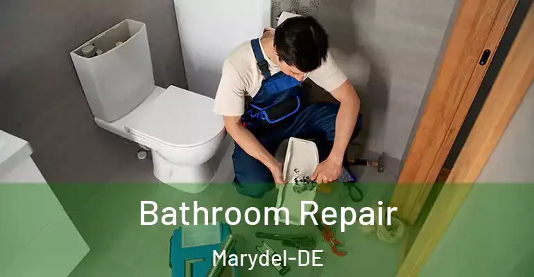 inner Bathroom imggen Bathroom Repair Marydel-DE