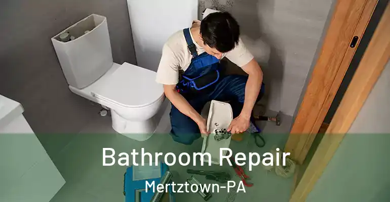 inner Bathroom imggen Bathroom Repair Mertztown-PA