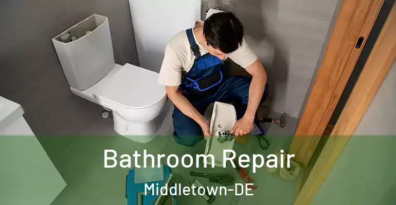 inner Bathroom imggen Bathroom Repair Middletown-DE