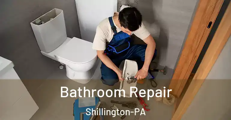 inner Bathroom imggen Bathroom Repair Shillington-PA