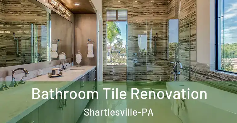 inner Bathroom imggen Bathroom Tile Renovation Shartlesville-PA