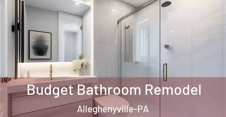 inner Bathroom imggen Budget Bathroom Remodel Alleghenyville-PA