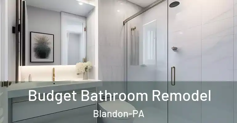 inner Bathroom imggen Budget Bathroom Remodel Blandon-PA