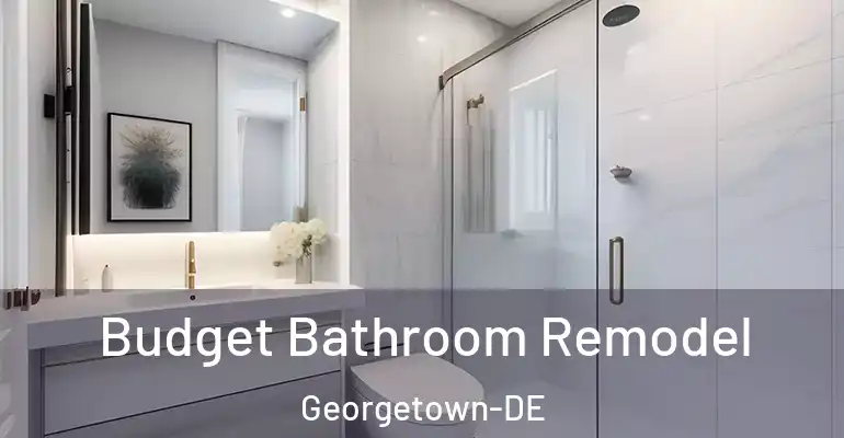 inner Bathroom imggen Budget Bathroom Remodel Georgetown-DE