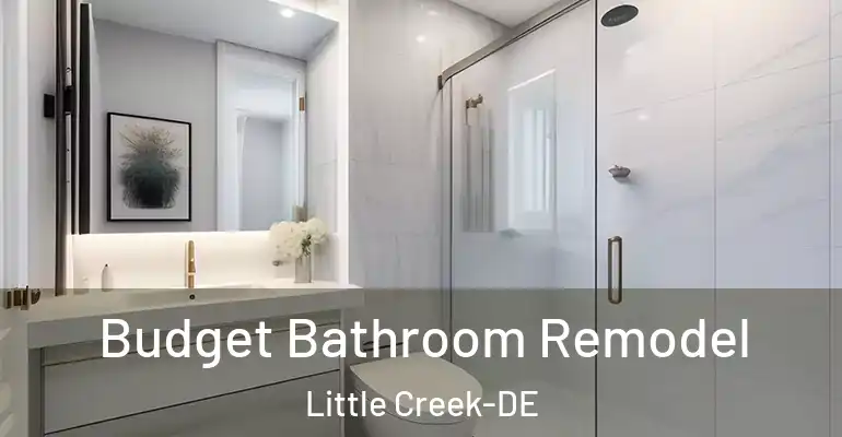 inner Bathroom imggen Budget Bathroom Remodel Little Creek-DE