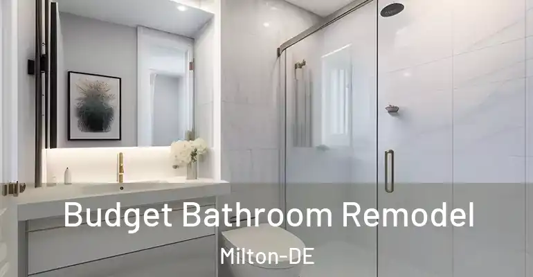 inner Bathroom imggen Budget Bathroom Remodel Milton-DE