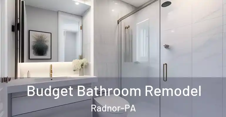 inner Bathroom imggen Budget Bathroom Remodel Radnor-PA