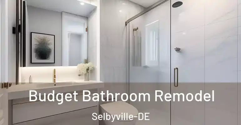 inner Bathroom imggen Budget Bathroom Remodel Selbyville-DE