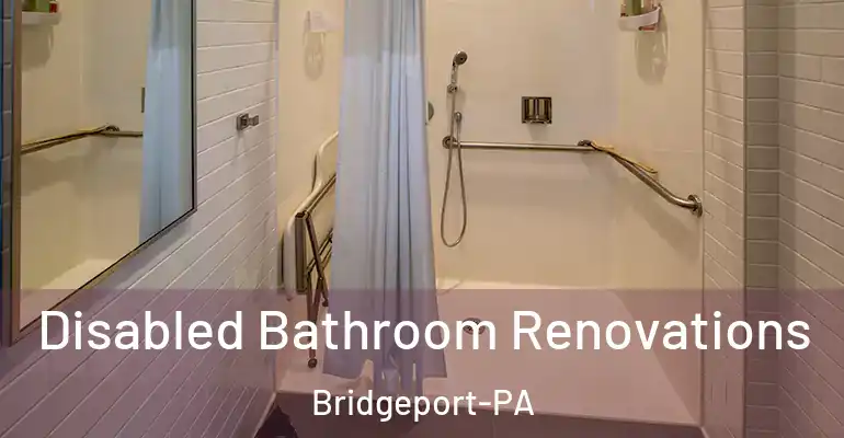 inner Bathroom imggen Disabled Bathroom Renovations Bridgeport-PA