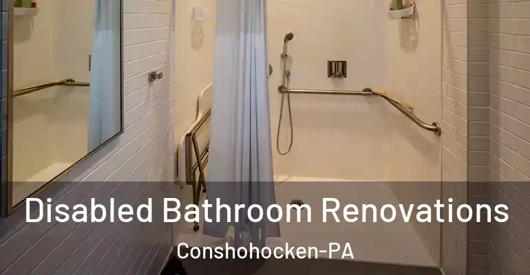 inner Bathroom imggen Disabled Bathroom Renovations Conshohocken-PA