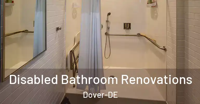 inner Bathroom imggen Disabled Bathroom Renovations Dover-DE