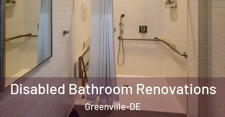inner Bathroom imggen Disabled Bathroom Renovations Greenville-DE