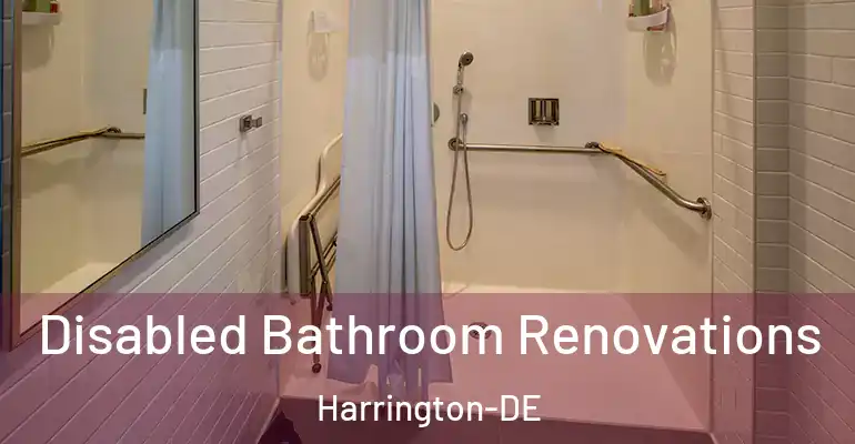 inner Bathroom imggen Disabled Bathroom Renovations Harrington-DE