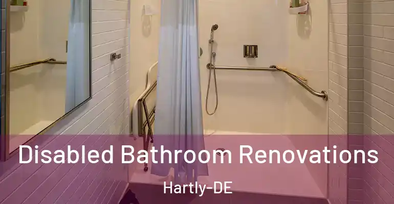 inner Bathroom imggen Disabled Bathroom Renovations Hartly-DE