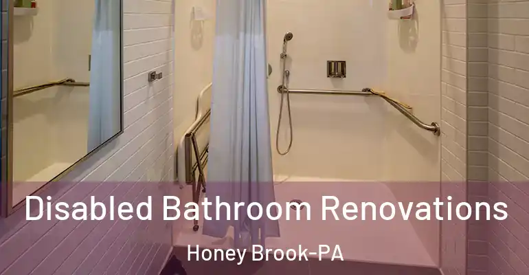 inner Bathroom imggen Disabled Bathroom Renovations Honey Brook-PA