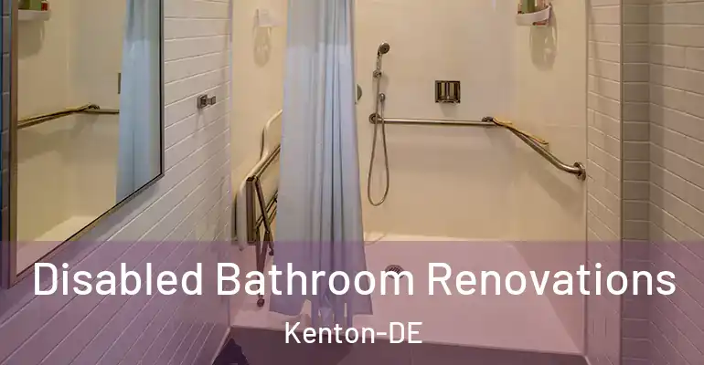 inner Bathroom imggen Disabled Bathroom Renovations Kenton-DE