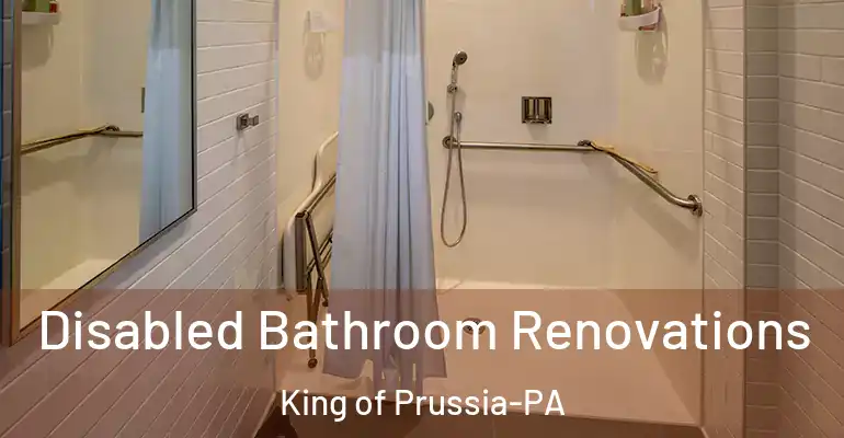 inner Bathroom imggen Disabled Bathroom Renovations King of Prussia-PA