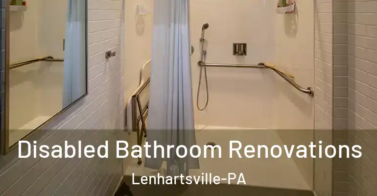 inner Bathroom imggen Disabled Bathroom Renovations Lenhartsville-PA