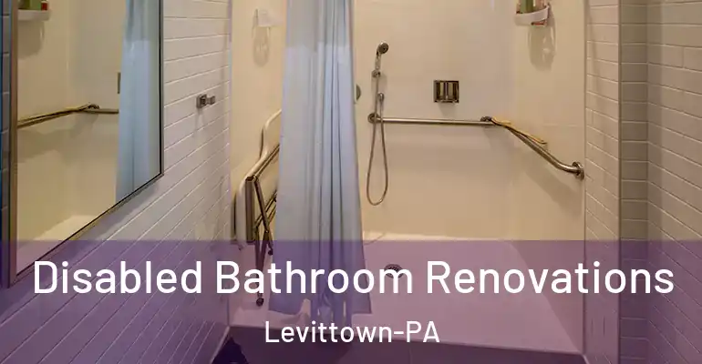 inner Bathroom imggen Disabled Bathroom Renovations Levittown-PA
