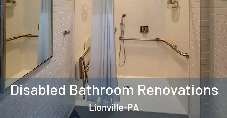 inner Bathroom imggen Disabled Bathroom Renovations Lionville-PA