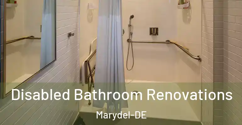 inner Bathroom imggen Disabled Bathroom Renovations Marydel-DE