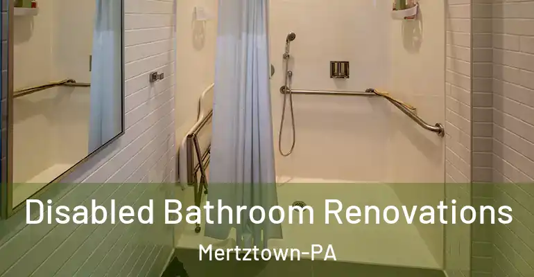inner Bathroom imggen Disabled Bathroom Renovations Mertztown-PA
